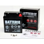 Batterie 6 und 12 Volt